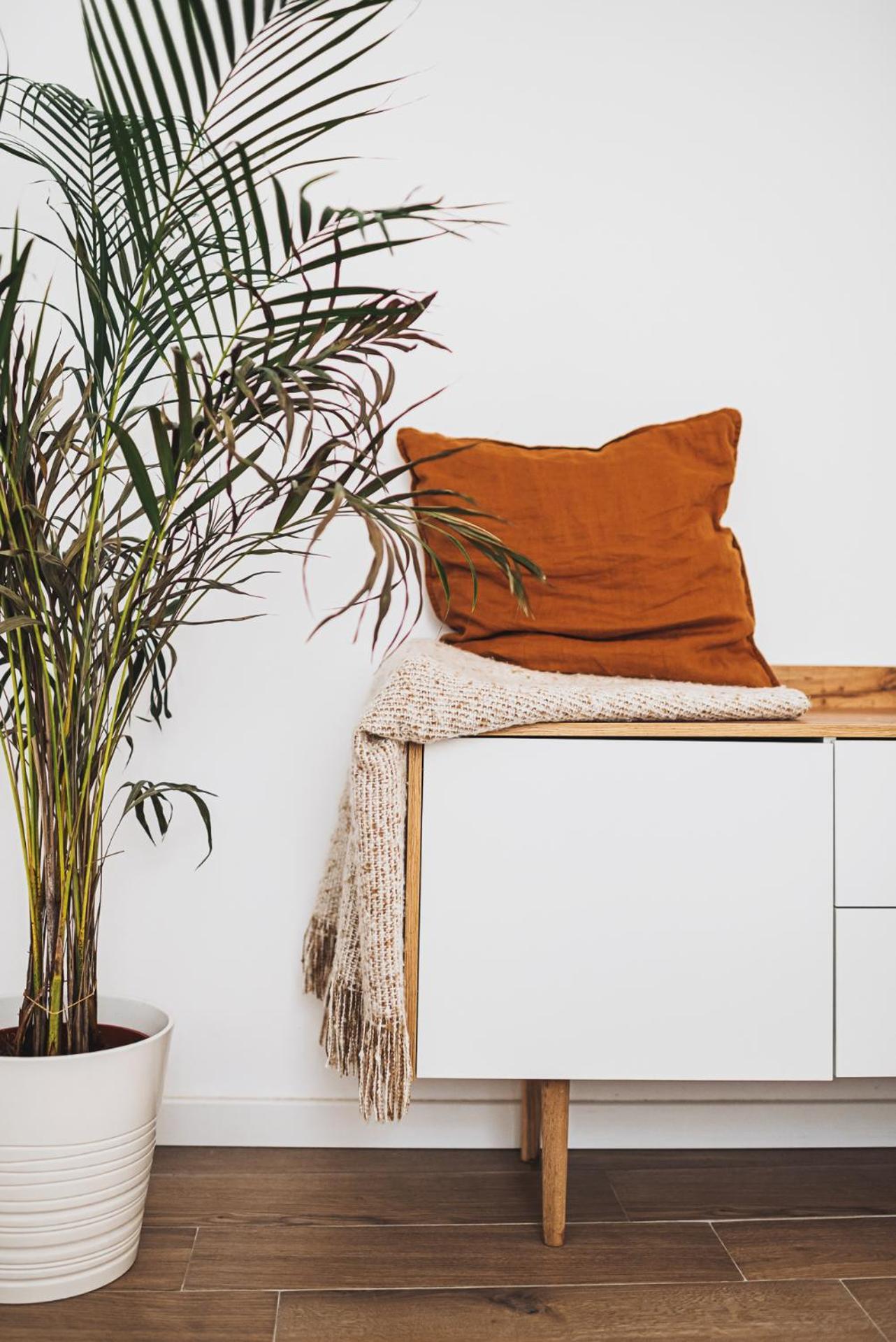 Voya - A Luxury Oasis In The Old Town Apartment